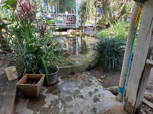 Garden #Veganuary at Ozark by Food4Thought in Chiang Mai