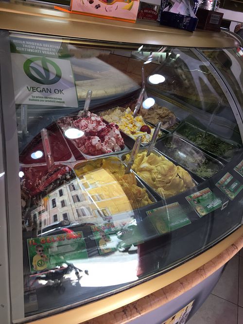 All vegan flavors  at Il Gelatone in Rome
