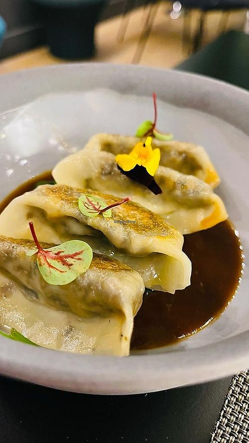 Dumplings #Veganuary at Mo The Veggie Lab in Barcelona