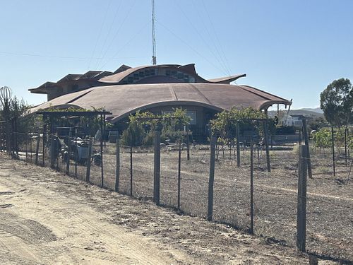 From outta space!  at Alximia in Villa De Juarez