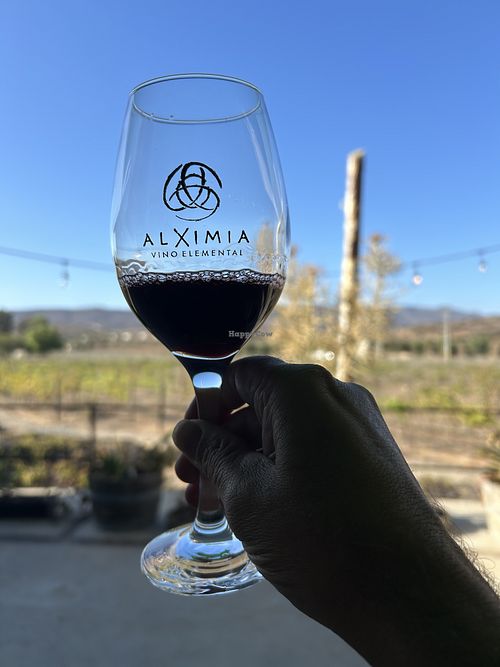 Vino  at Alximia in Villa De Juarez