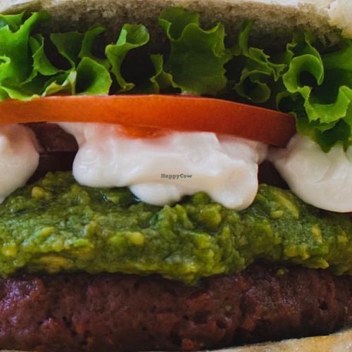 Notburger  at Verdevegano Food Truck in Santiago