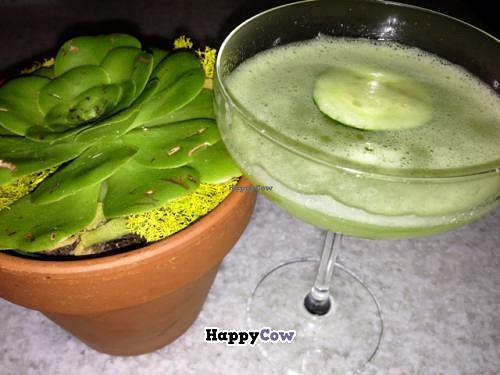 yummy mixed drinks with fresh ingredients and a great atmosphere! at True Food Kitchen in Newport Beach