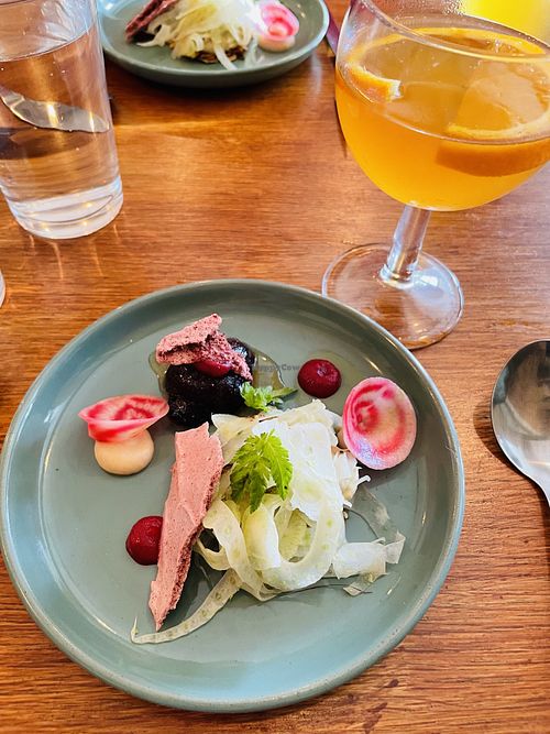   at Foxglove in Barmouth