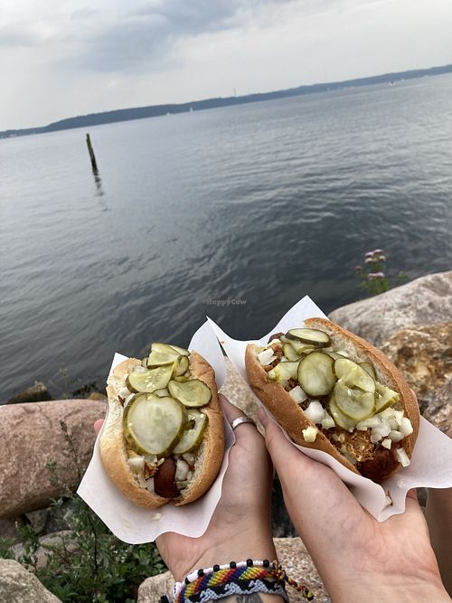 vegan hot dogs   at Annies Kiosk in Krusaa