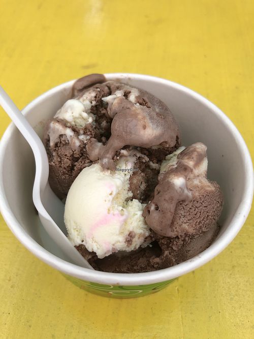 Chocolate and vanilla Vegan ice cream at 1700 colones.  at Perezoso Coffee House in Manuel Antonio