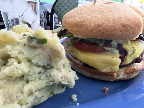 Yummy mashed potatoes and lamb burger   at Magdelena's in Petaluma
