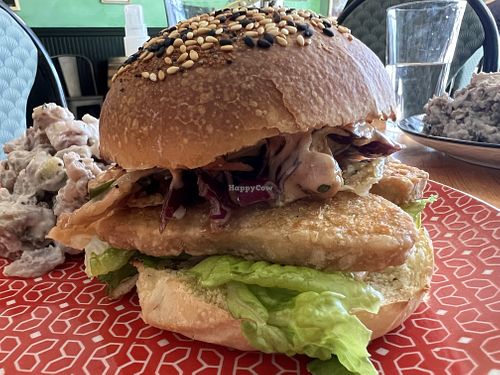 	

O"fish"ally Not Caught  at Magdelena's in Petaluma