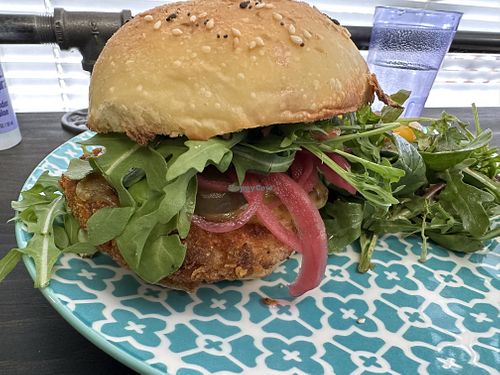 Tennessee Hot Not Chicken  at Magdelena's in Petaluma