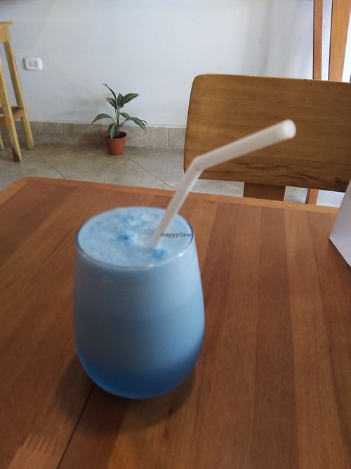 Lemonade with spirulina. They have several different varieties of lemonade at Nii ibo in Iquitos