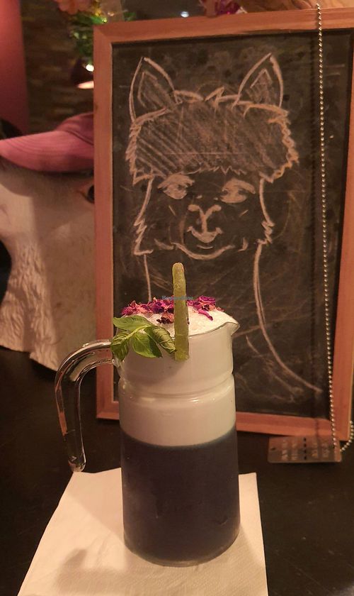 Error 404 at Alpaca Bar in Tel Aviv