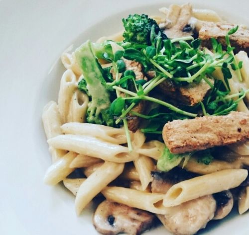 Cashew cream sauce with penne and mushroom  at Loving Hut in Claremont