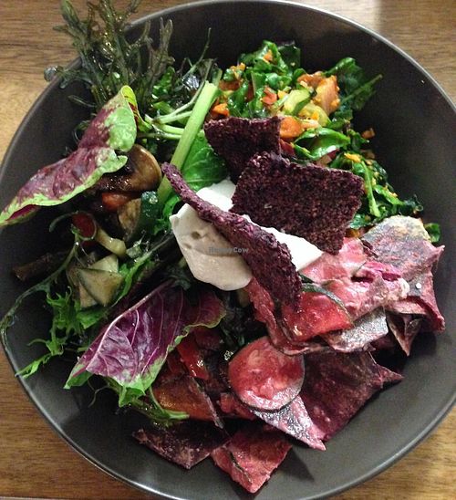raw organic lunch salad plate at Shokuiku in Northcote