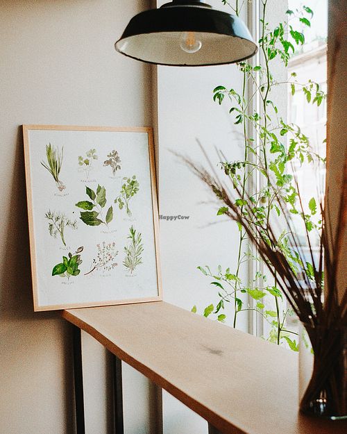 Green and clean interior. at ČAU in Riga