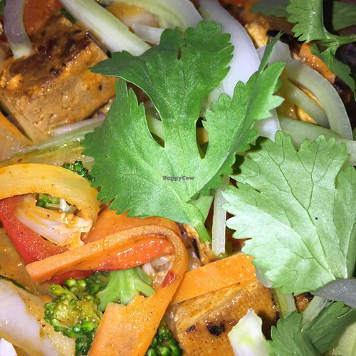 Curry at Sublime Restaurant and Bar in Fort Lauderdale