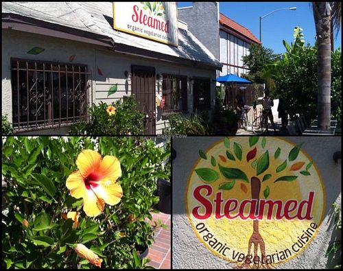 cute little place at Steamed - Organic Vegetarian Cuisine in Long Beach