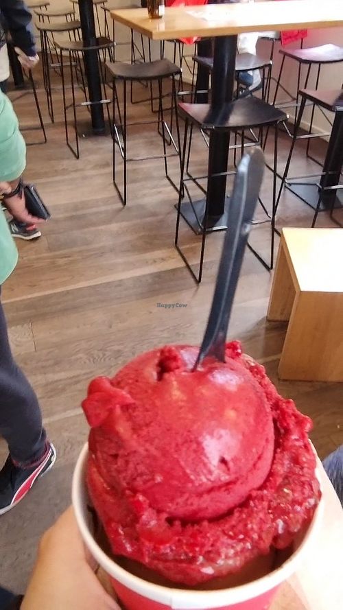 Patagonia Chocolates Queenstown Ice Cream HappyCow