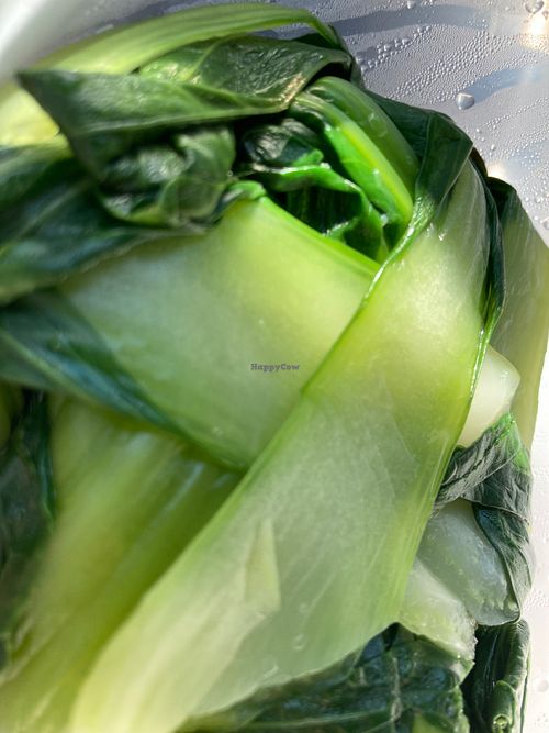 Shanghai Bok choy at A & J in Rockville