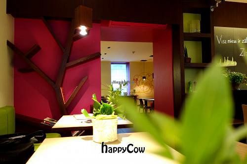 Raw Garden at The Beginnings - Skolas in Riga