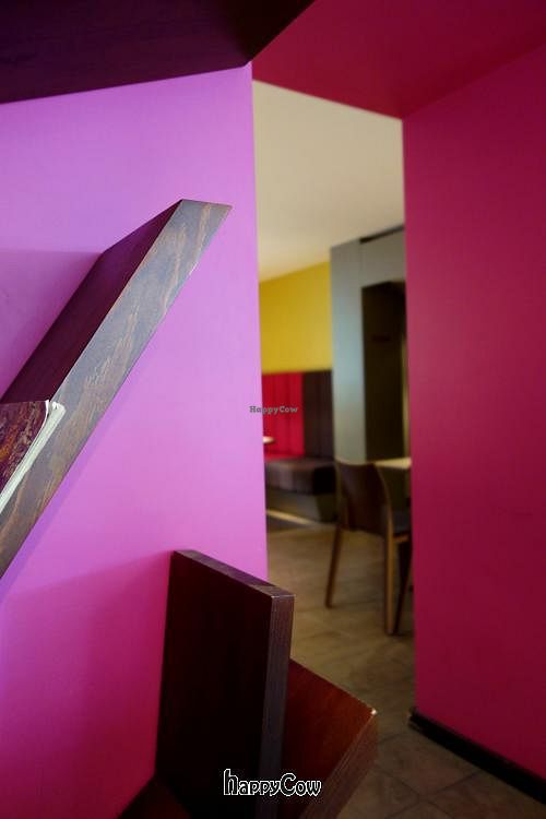 Raw Garden at The Beginnings - Skolas in Riga