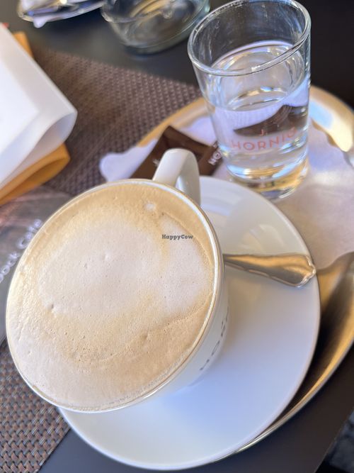 Oat cappuccino  at Steinbock Cafe in Hof