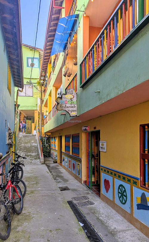  at Zona ProSalud in Guatape