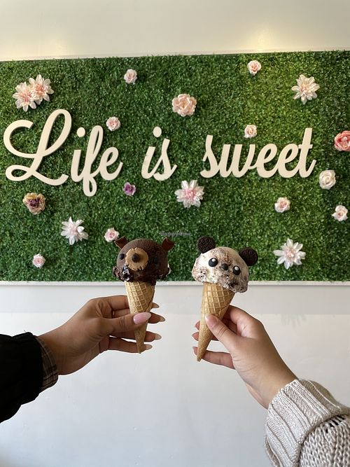 Eli's Ark Chicago Illinois Ice Cream HappyCow