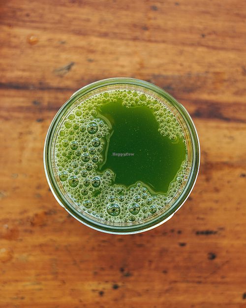 Cold-Pressed Juice at Naked Foods in Nosara