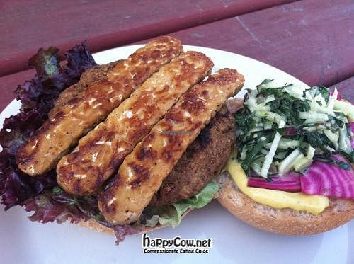Mayocoba bean, cranberry, and multi grain burger with tempeh bacon, candy cane beet, basil, fennel slaw, lettuce at Bartertown Diner in Grand Rapids