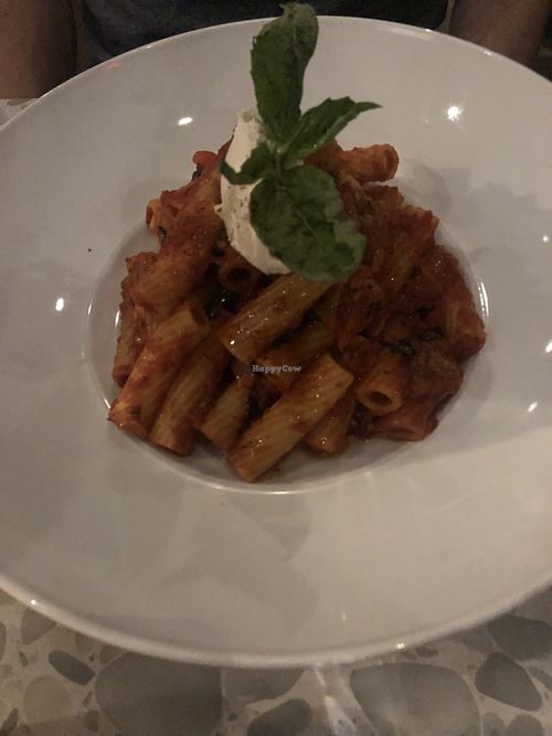 Eggplant alla Norma  at Coletta in New York City