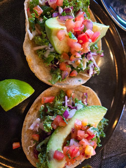 Avo tacos at Teocalli Cocina in Lafayette