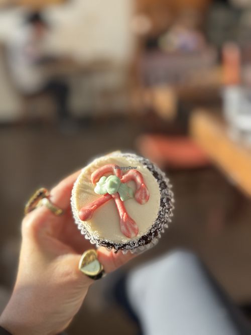 Vegan chocolate cupcake   at Bernice's Bakery in Missoula