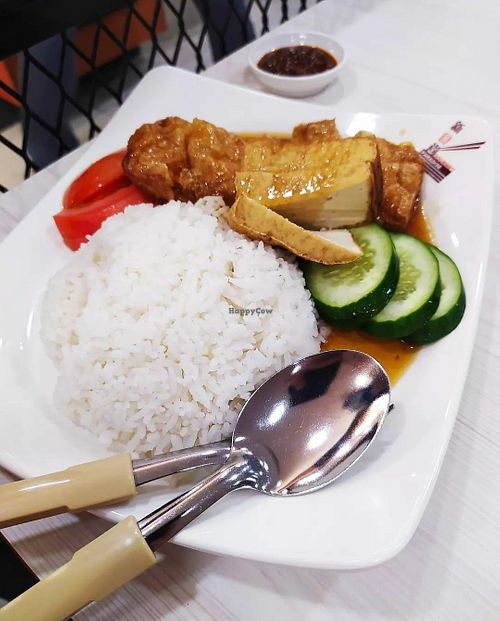 Veg duxk rice at e Veg - Marina Square - 益素食 in Central Singapore