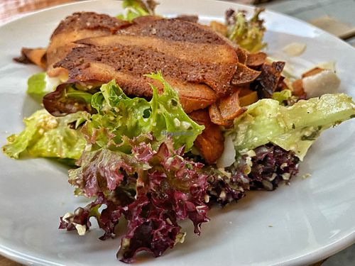Caesar salad    at Tisch in Vienna