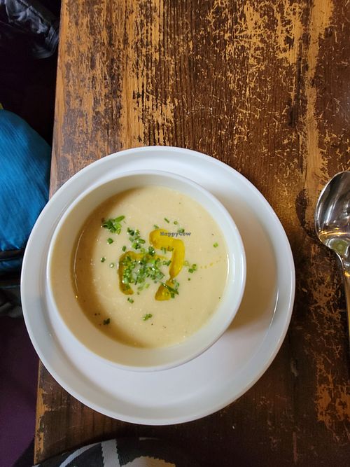 Cream of asparagus soup at Tisch in Vienna