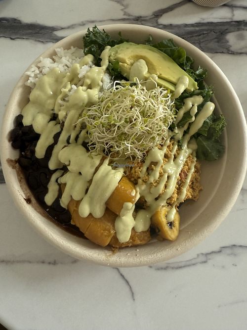   at Earthy Picks in Orlando