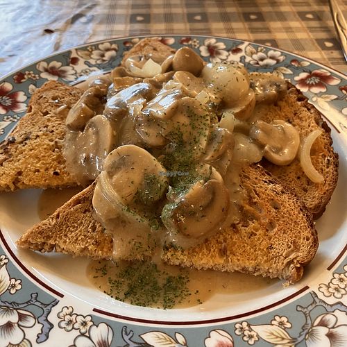   at Fox Hall in Kendal