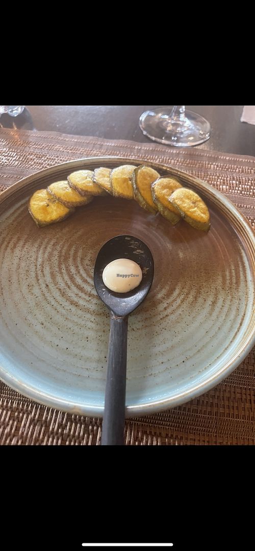 free starter  at Rebelión in Cartagena