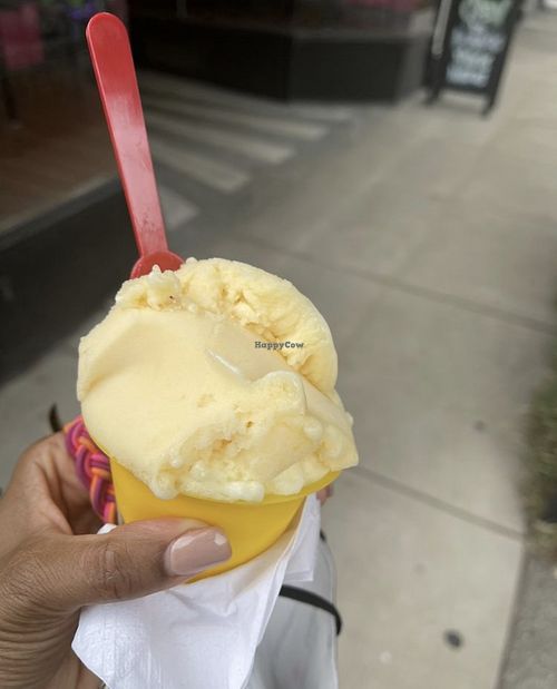 Pineapple and peach gelato scoops  at The Gelateria Coffee Company in St Louis