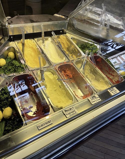 The vegan case  at The Gelateria Coffee Company in St Louis