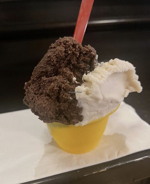 Chocolate and vanilla oatmilk scoops  at The Gelateria Coffee Company in St Louis