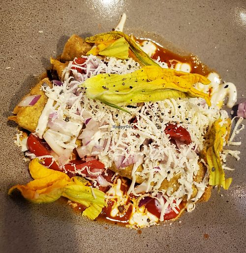 Flautas at Changos Veganos in Mexico City