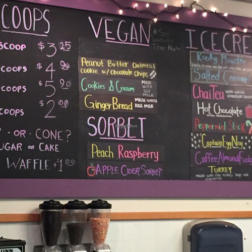 vegan flavors made in-house! at Treat Dreams in Ferndale