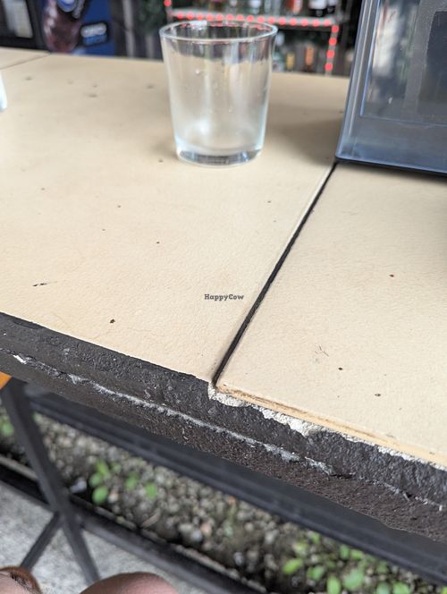  at Yellow Bark in La Fortuna