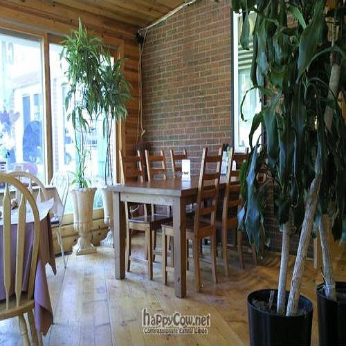  at The Casual Chef Cafe in Union Pier