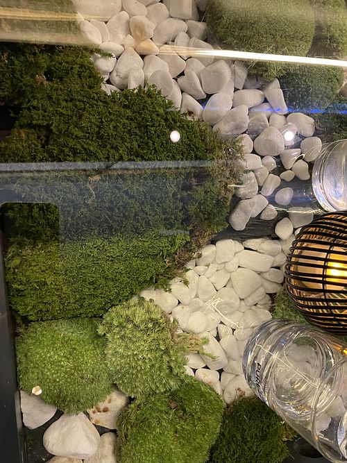   at Secret Garden in Munich