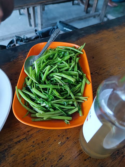 Morning glory at Bam Bam in Koh Tao