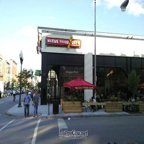 Milwaukee & Honore at Native Foods - Wicker Park in Chicago