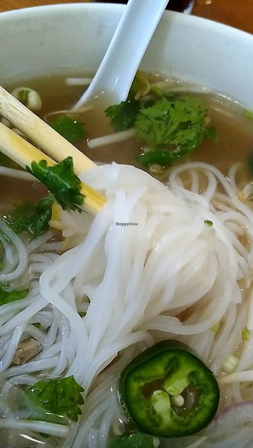  at Pho #1 Vietnamese & Thai Restaurant in Harlingen