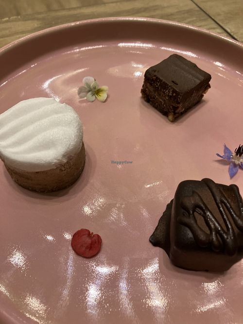 Tasting platter desserts  at Evergreen Organics - Gate Mall in Doha